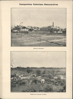 1915-08-25 (nº 32) BNP